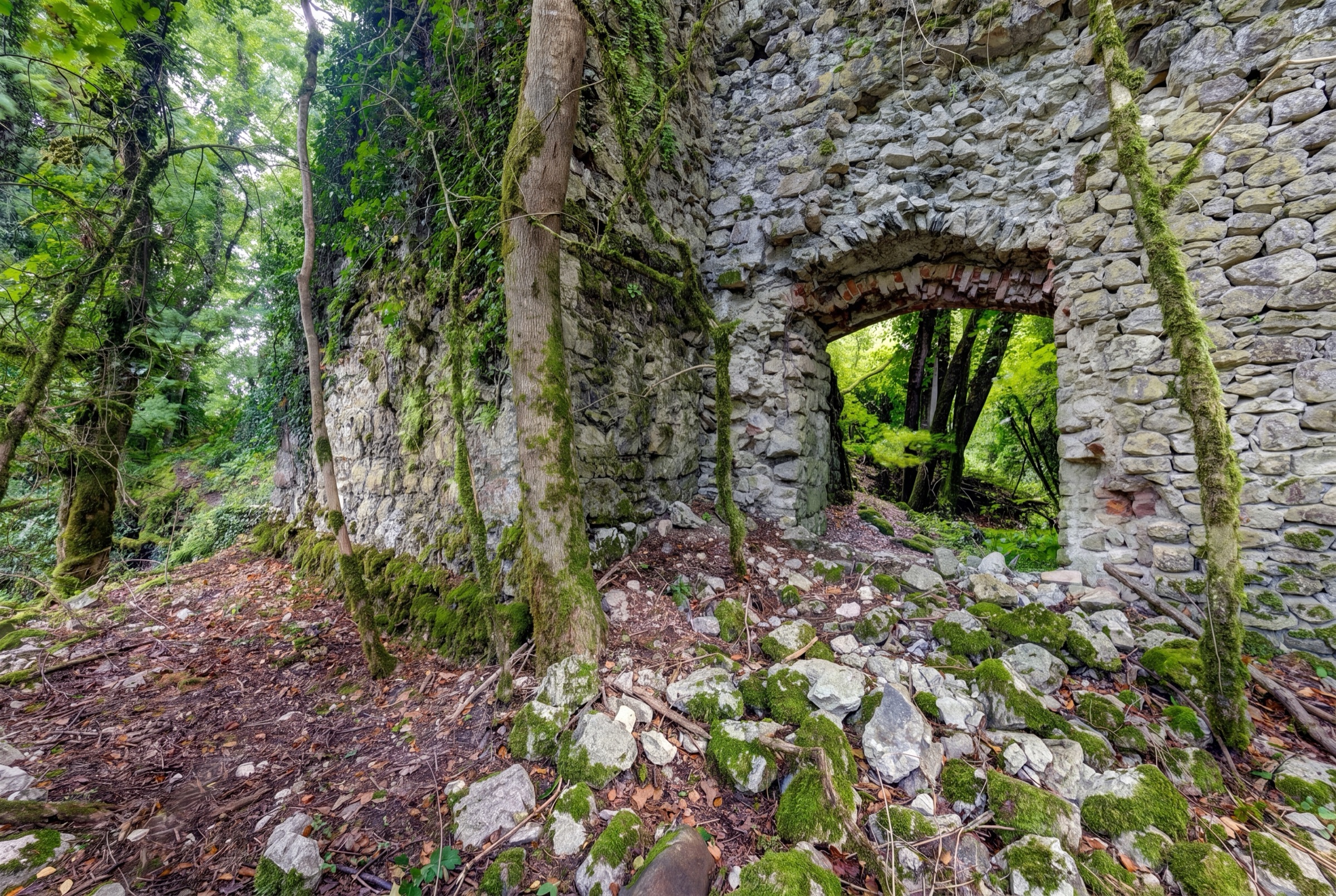 Medieval fortress ruins