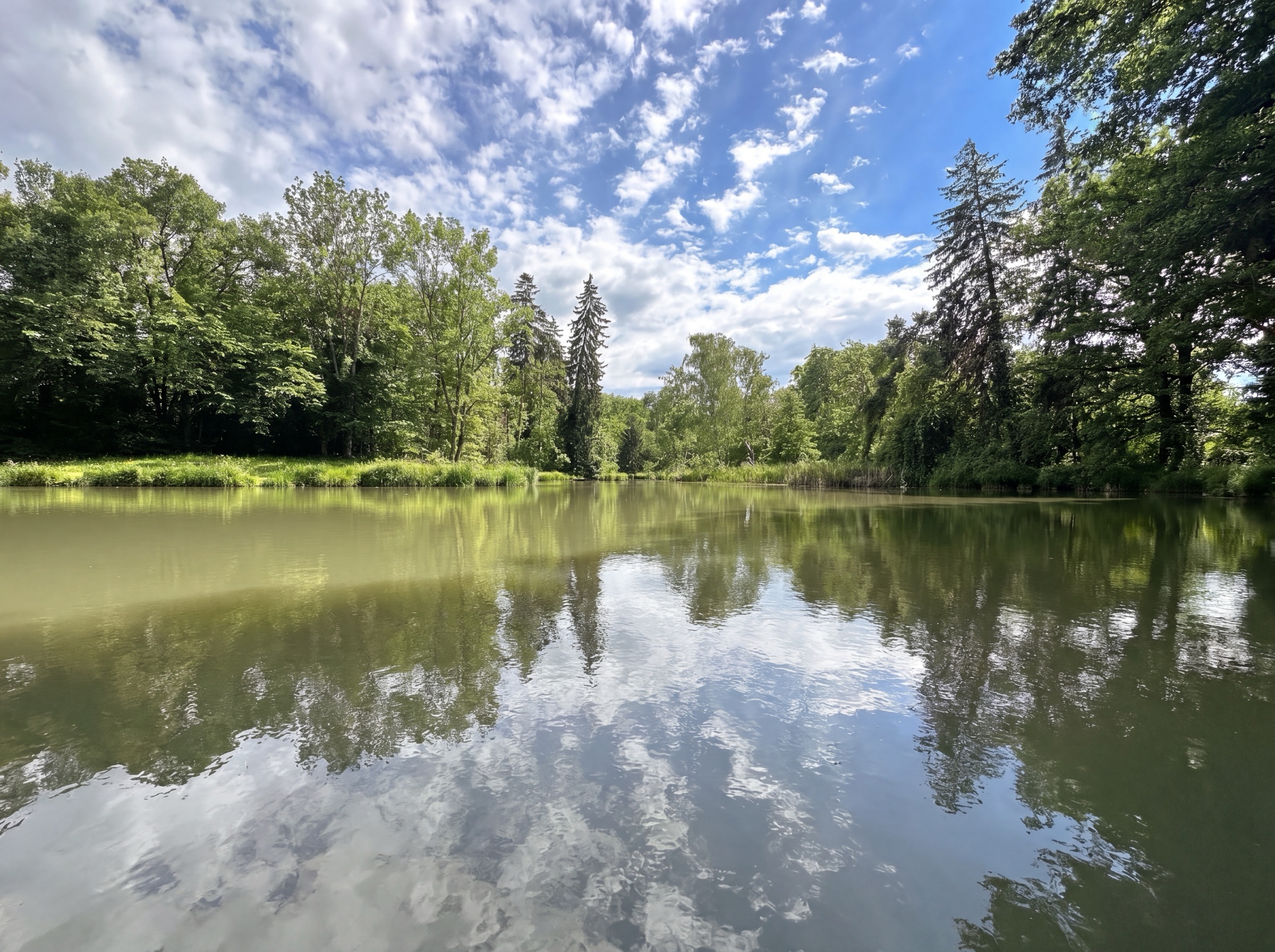 Pond view